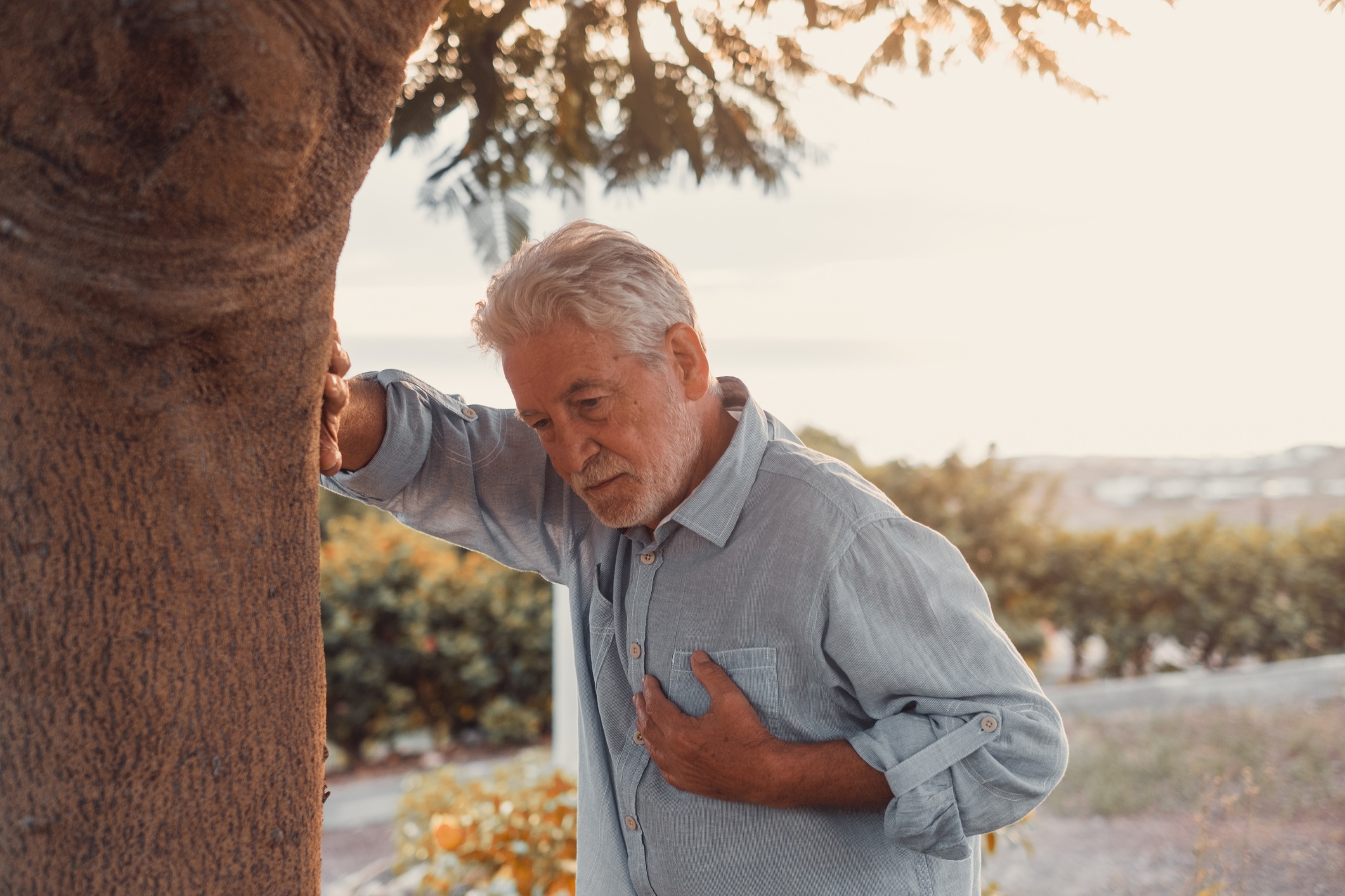 An older man wearing a blue shirt braces himself on a tree, touching his chest at the park for "Should I Go to Urgent Care for Chest Pain" blog.